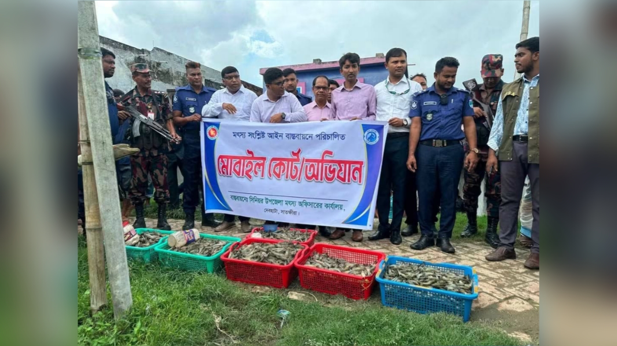জেলি-পুশকৃত চিংড়ি বিনষ্ট, ৩ ব্যবসায়ীকে জরিমানা