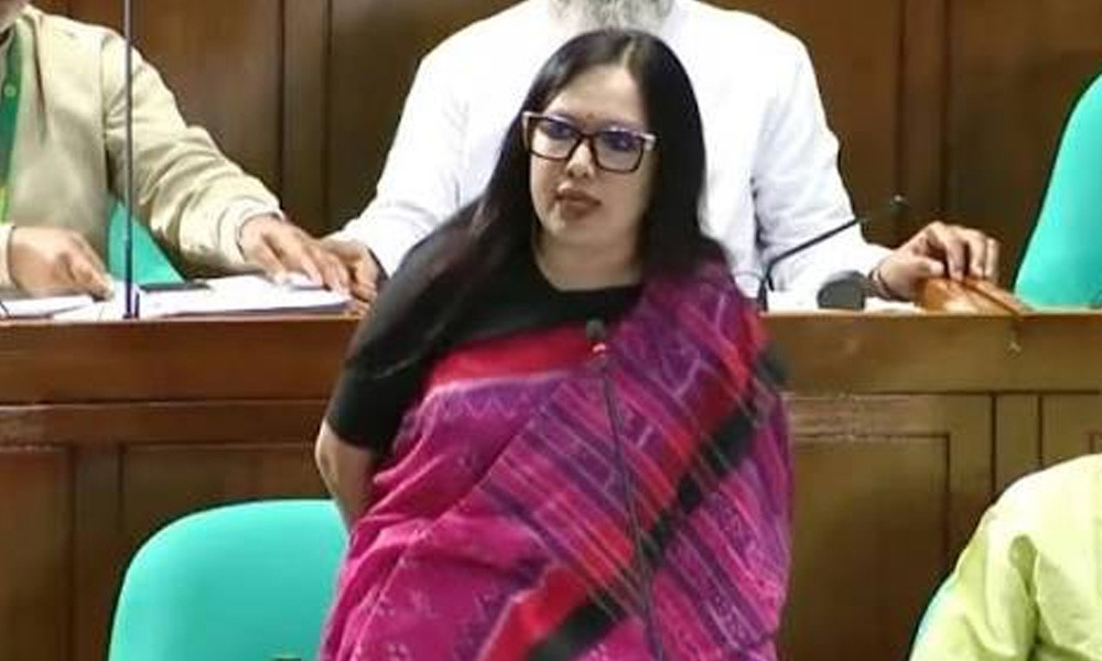 ৬৪ জেলায় ৬৪ জন ‘স্বরাষ্ট্রমন্ত্রী’ থাকলে মন্দ হতো না : রুমিন ফারহানা