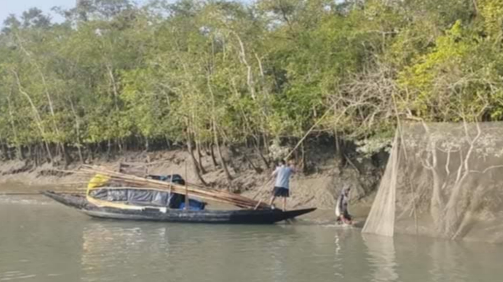 ১লা জুন থেকে সুন্দরবনে প্রবেশ ৩ মাসের নিষেধাজ্ঞা 