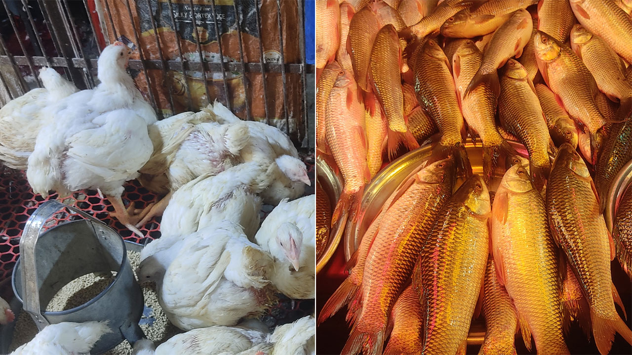 ব্রয়লারের কেজি ১৭০, পাঙাশ ১৮০