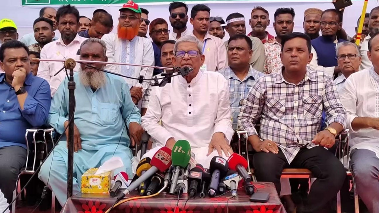 দেশে যত সংকট দেখছেন সব তৈরি করা : মির্জা ফখরুল