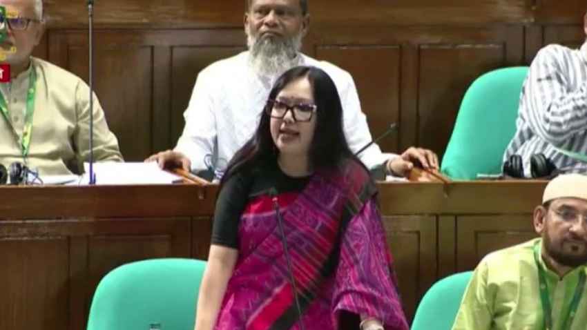 মনোনয়ন না দেওয়ায় বিএনপিকে ধন্যবাদ রুমিন ফারহানার