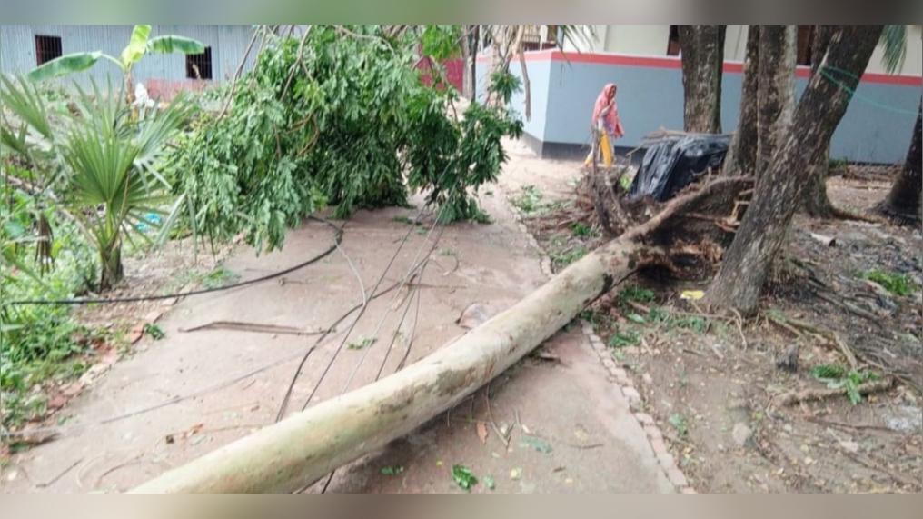 সোনাগাজীতে কালবৈশাখীর তাণ্ডব, বিদ্যুৎহীন পুরো উপজেলা